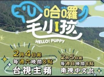 哈啰！毛小孩